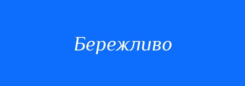 Пароніми до слова Бережливо