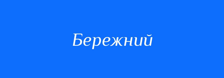 Пароніми до слова Бережний