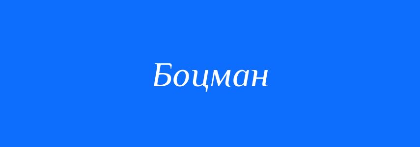 Пароніми до слова Боцман