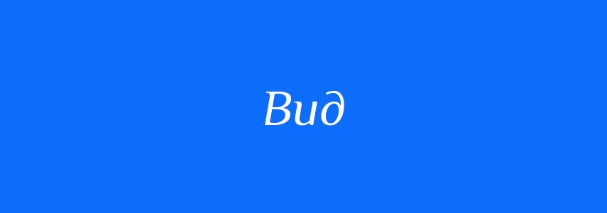 Пароніми до слова Вид