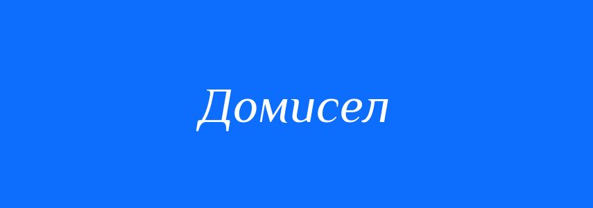 Пароніми до слова Домисел