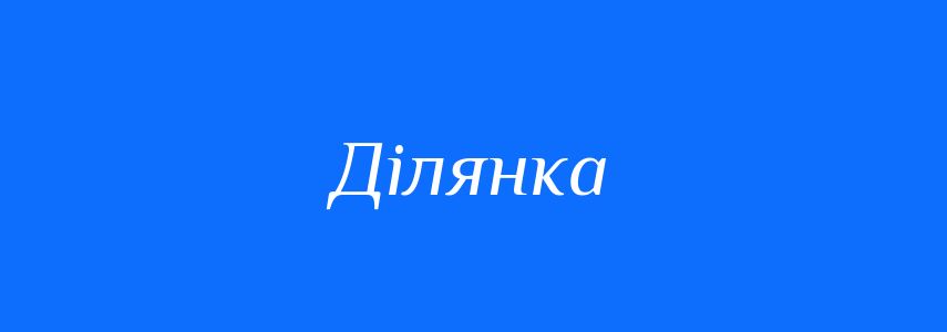 Пароніми до слова Ділянка