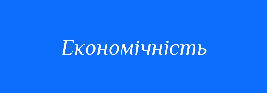 Пароніми до слова Економічність
