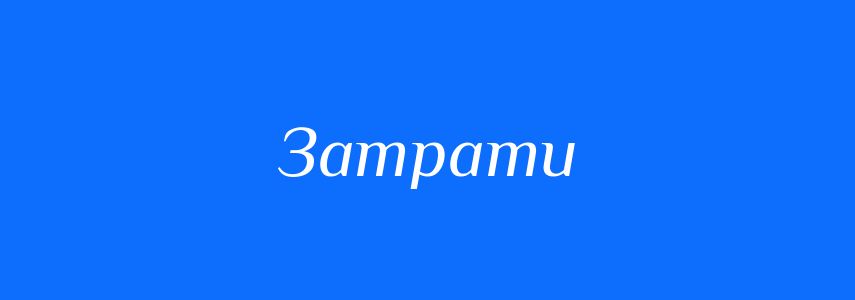 Пароніми до слова Затрати