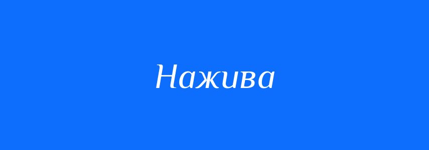 Пароніми до слова Нажива