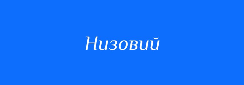 Пароніми до слова Низовий