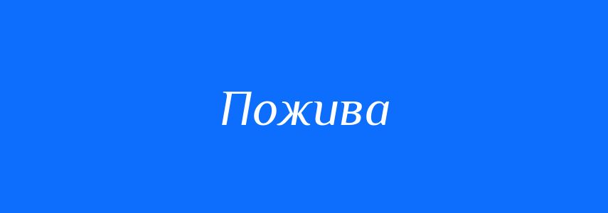 Пароніми до слова Пожива