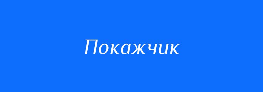 Пароніми до слова Покажчик