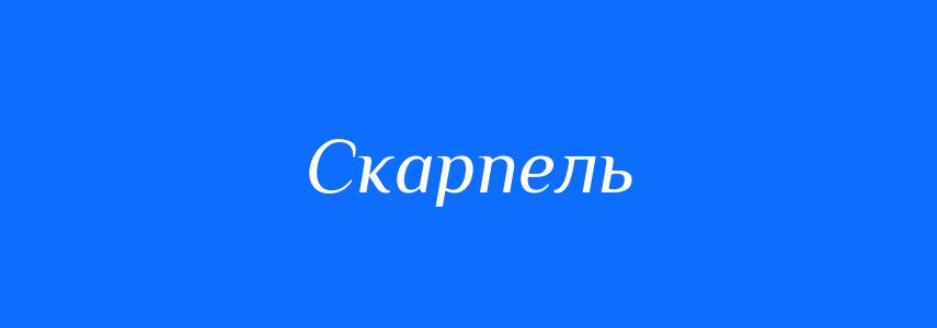 Пароніми до слова Скарпель