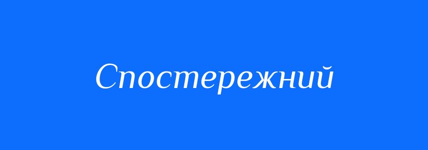 Пароніми до слова Спостережний