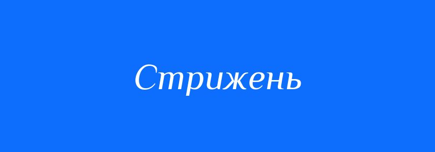 Пароніми до слова Стрижень