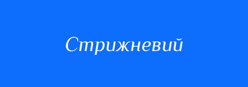 Пароніми до слова Стрижневий