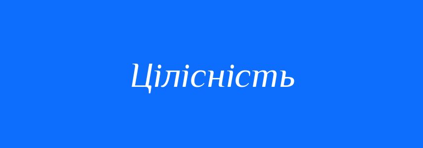 Пароніми до слова Цілісність