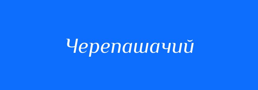 Пароніми до слова Черепашачий